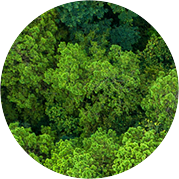 新利娱乐体育官网 智造60⁺年 暢銷140⁺國