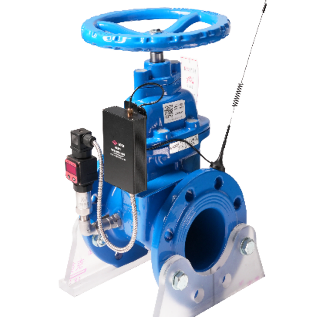 遠程側孔測壓閘閥